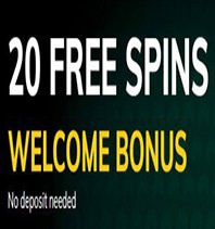£20 No Deposit Bonus Coupons bonus coupons